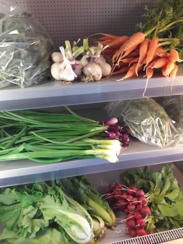 36867537_10214848649881530_4842716191929663488_n